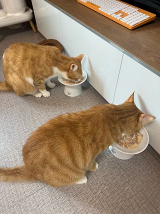 민채님이 올린 리뷰 사진 4