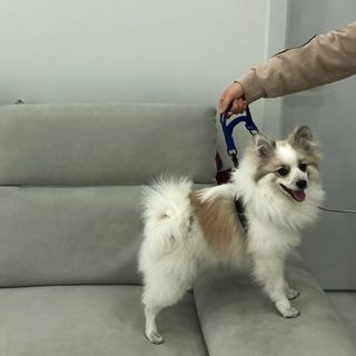 지수님이 올린 리뷰 사진 2