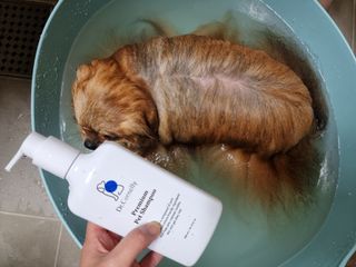 아롱이님이 올린 리뷰 사진 4