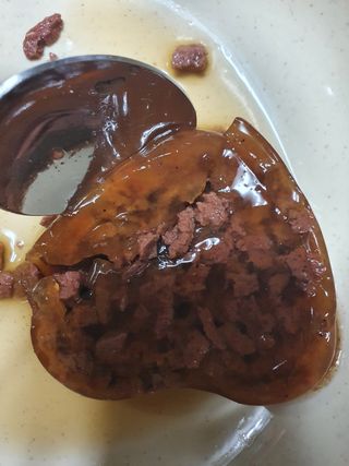 비타크래프트 조에시 하트캔 85g 강아지 습식캔 10캔 — 5점을 준 리뷰어가 2021년 7월 올린 사용 사진