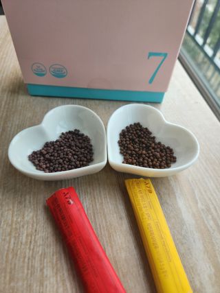 소피야님이 올린 리뷰 사진 3