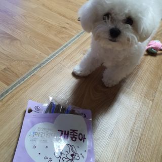 My Pet Care 천연단백질 치아건강에 개좋아 — 4점을 준 리뷰어가 2021년 2월 올린 사용 사진