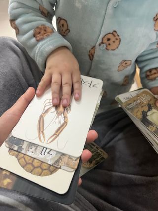 July님이 올린 리뷰 사진 1