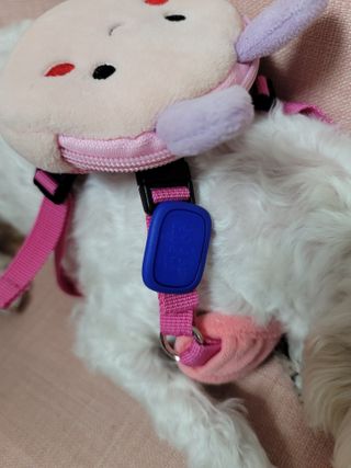 시우하늘맘님이 올린 리뷰 사진 4