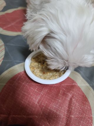 옐로우님이 올린 리뷰 사진 3