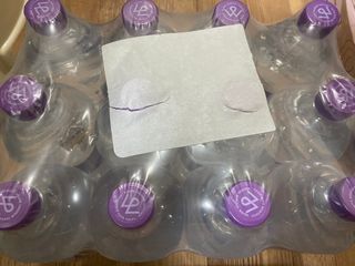 몽베스트 MONTBEST 1L 12입 — 5점을 준 리뷰어가 2022년 4월 올린 사용 사진