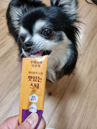 페페로니 맛있는 스틱 - 무항생제 닭고기 15개 + 알래스카 연어 15개 — 5점을 준 리뷰어가 2021년 9월 올린 사용 사진