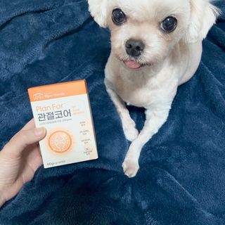 플랫님이 올린 리뷰 사진 1