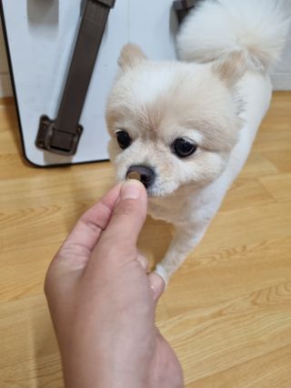 혜자님이 올린 리뷰 사진 4