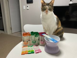 김혜지님이 올린 리뷰 사진 2
