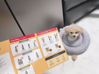 문근영실😊님이 올린 리뷰 사진 1