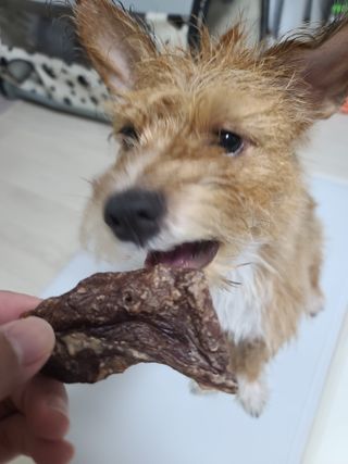 커피보고왔엄님이 올린 리뷰 사진 2
