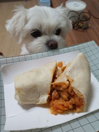뽀오오옹님이 올린 리뷰 사진 2