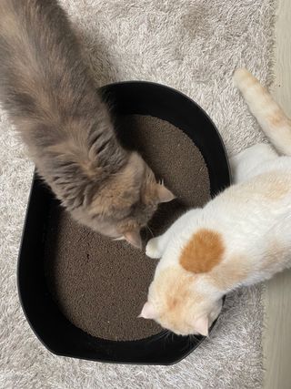 지율지아맘님이 올린 리뷰 사진 1