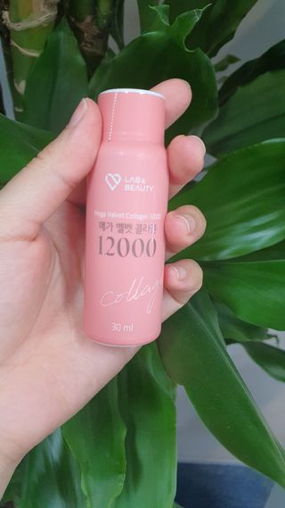 이양갱님이 올린 리뷰 사진 1