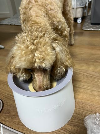 보리엄마님이 올린 리뷰 사진 3
