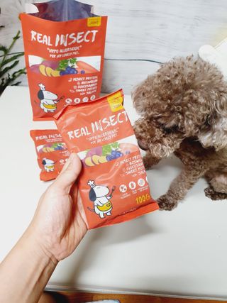 달콤오기님이 올린 리뷰 사진 2