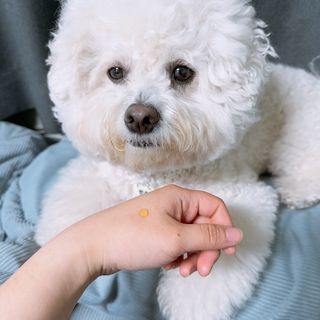 지혜님이 올린 리뷰 사진 3