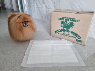 아롱이님이 올린 리뷰 사진 3