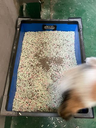 러블리님이 올린 리뷰 사진 3