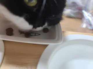 릴리님이 올린 리뷰 사진 1