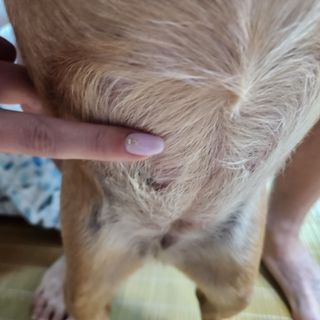 망구님이 올린 리뷰 사진 4