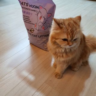 미미님이 올린 리뷰 사진 2