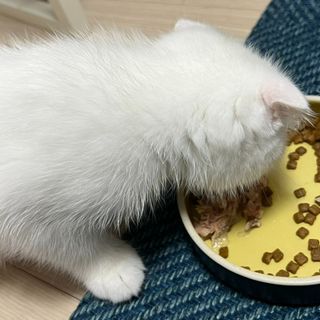 소원구르밍님이 올린 리뷰 사진 2
