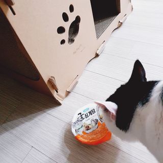 JENNY님이 올린 리뷰 사진 1