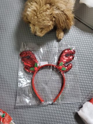 모모맘님이 올린 리뷰 사진 2