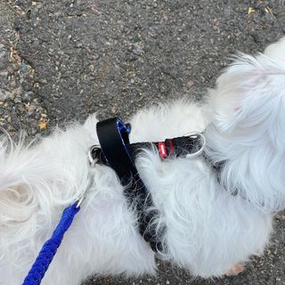 뽀히님이 올린 리뷰 사진 4
