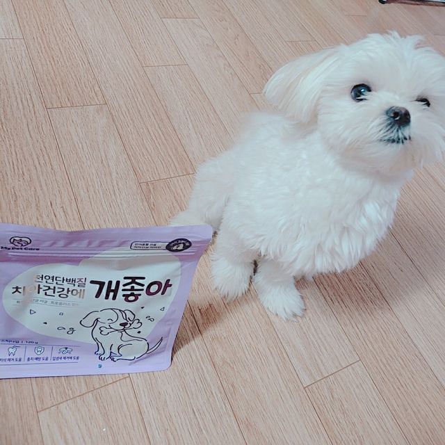 천연단백질 치아건강에 개좋아 리뷰 사진