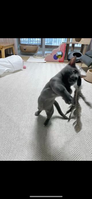 햄미이모님이 올린 리뷰 사진 4