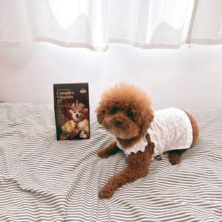 조이님이 올린 리뷰 사진 1