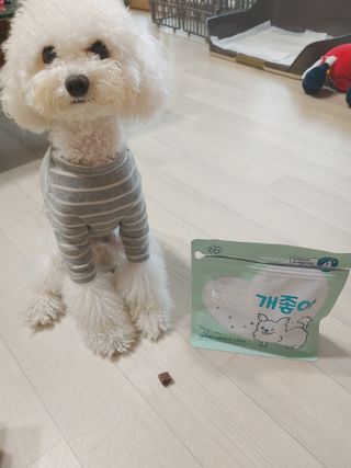 My Pet Care 천연단백질 눈건강에 개좋아 — 5점을 준 리뷰어가 2021년 1월 올린 사용 사진