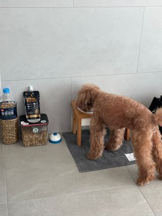jjun님이 올린 리뷰 사진 1
