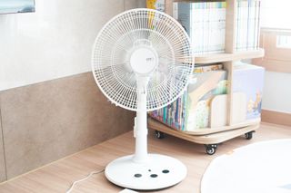 이랑님이 올린 리뷰 사진 2