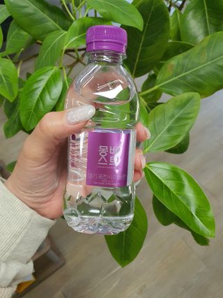 몽베스트 [MONTBEST] 330mL 20병 — 5점을 준 리뷰어가 2022년 4월 올린 사용 사진