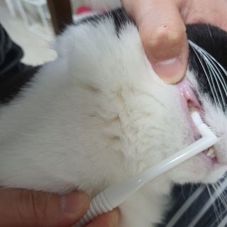 고고고님이 올린 리뷰 사진 3