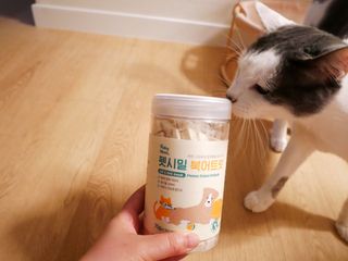 [펫시밀] 원물그대로 영양듬뿍 진공동결건조 북어트릿75g,치킨트릿100g,연어트릿75g 강아지 고양이 간식 — 5점을 준 리뷰어가 2023년 6월 올린 사용 사진