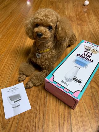 아베크 펫 강아지 고양이 애견 에어 브러쉬 드라이기 올인원 — 5점을 준 리뷰어가 2021년 7월 올린 사용 사진