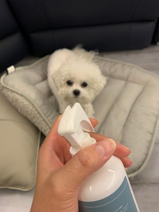 큐티윤님이 올린 리뷰 사진 3