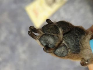 작은곰님이 올린 리뷰 사진 3