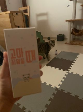 SanghyukCha님이 올린 리뷰 사진 2