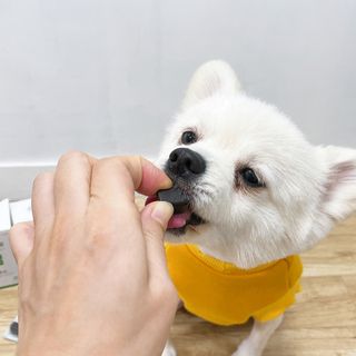 신블리마미님이 올린 리뷰 사진 3