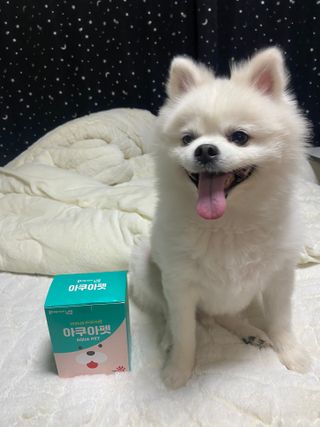 펫시랩 반려견용 액상 프리바이오틱스 아쿠아펫 — 5점을 준 리뷰어가 2021년 1월 올린 사용 사진