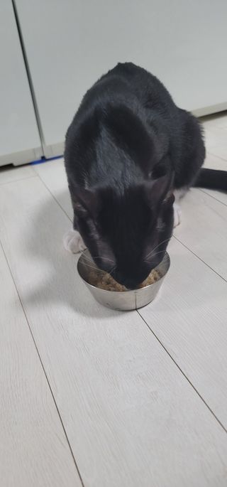 짱미님이 올린 리뷰 사진 4