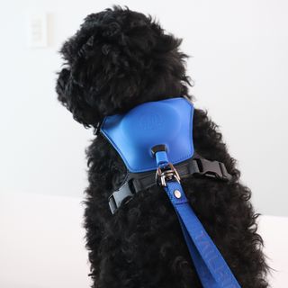 우와한언니님이 올린 리뷰 사진 4