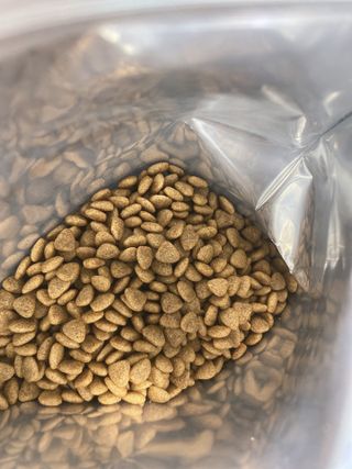 [푸디웜] 라포그 리얼인섹트 소프트키블 스킨 1KG — 5점을 준 리뷰어가 2022년 9월 올린 사용 사진