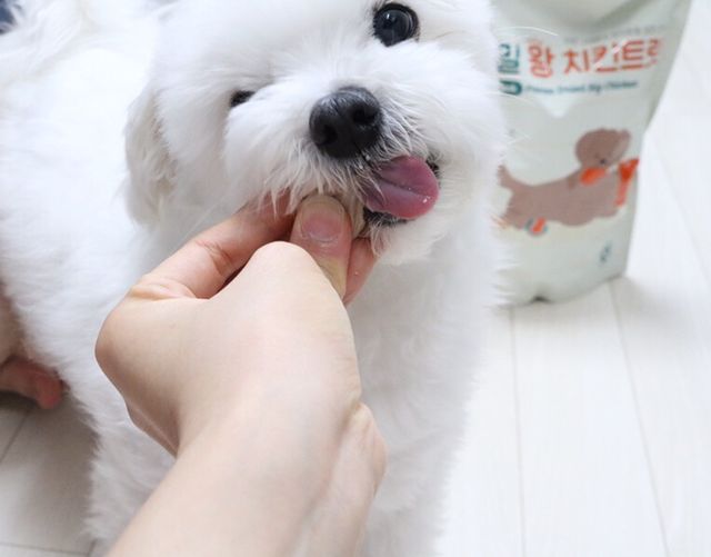 [펫시밀] 원물그대로 영양듬뿍 동결건조 왕북어트릿300g,왕치킨트릿400g,열빙어트릿300g 대용량 간식 리뷰 사진